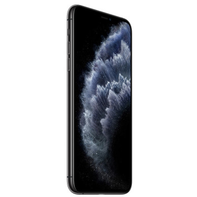Apple iPhone 11 Pro Max 256Gb Space Gray (MWHJ2)