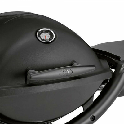 Газовый гриль Weber Q1200 51010075