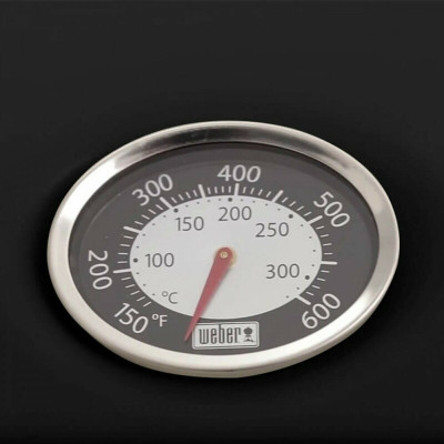 Газовый гриль Weber Q1200 51010075