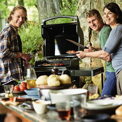 Гриль газовый Weber (Spirit E210) Original (1160x800x1290мм) 46010675 Гриль газовый Weber (Spirit E210) Original (1160x800x1290мм) 46010675