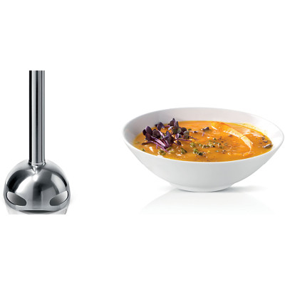 Блендер погружной Bosch MS6CB61V5