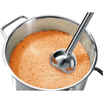 Блендер погружной Bosch MS6CB61V5