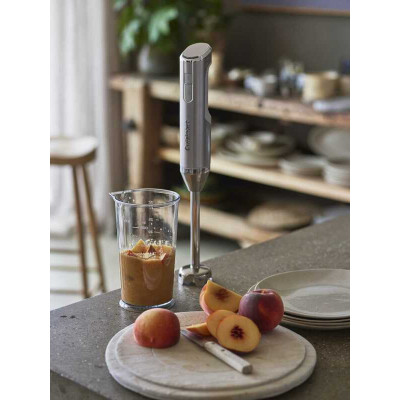 Блендер погружной Cuisinart RHB100E