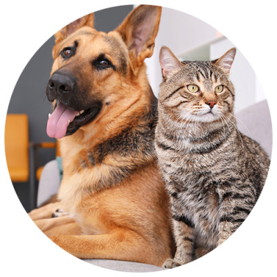 Очиститель воздуха Levoit Smart Air Purifier LV-PUR131S-RXW + Extra filter (White)