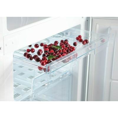 Холодильник Snaige RF31SM-S0002F