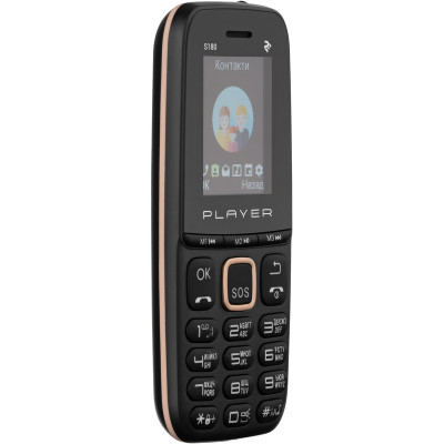 2E S180 Dual Sim 2021 Black/Gold (688130243384)