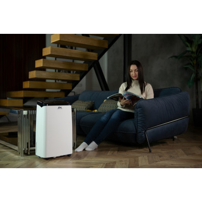 Осушитель воздуха Cooper&Hunter CH-D009WD8-20LD