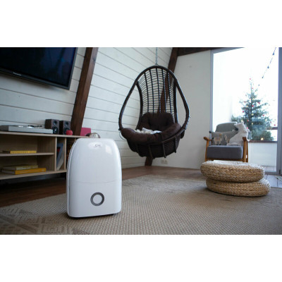 Осушитель воздуха Cooper&Hunter CH-D005WD2-12LD