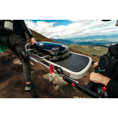 Гриль газовый Weber Traveler (9010075) Гриль газовый Weber Traveler (9010075)