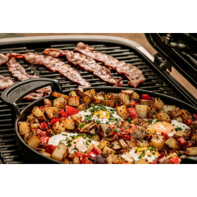 Гриль газовый Weber Traveler (9010075) Гриль газовый Weber Traveler (9010075)