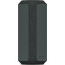 Акустика Sony SRS-XE300 (Black) SRSXE300B.RU2