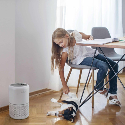 Очиститель воздуха Levoit Air Purifier Core P350 Pet Care White Очиститель воздуха Levoit Air Purifier Core P350 Pet Care White