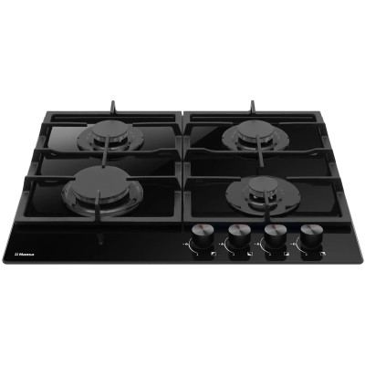 Комплект: духовой шкаф+варочная поверхность газовая HANSA FCGI 69326