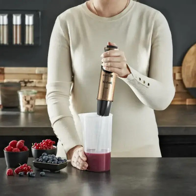 Блендер погружной Tefal HB656G10