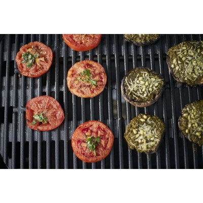 Гриль газовый Weber Q 2200 (54010029)